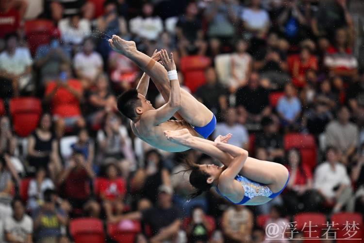 跳水世锦赛混双10米台决赛